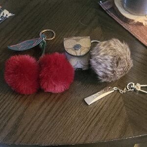 3 Keychains An Purse Tags